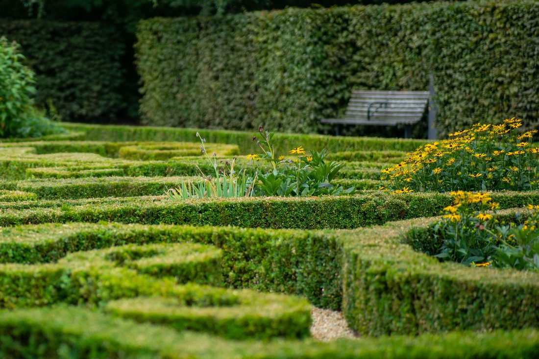 Timber fencing along a garden edge