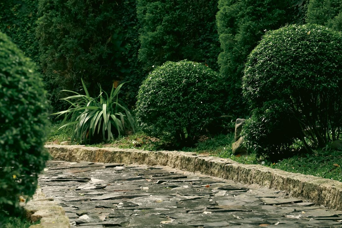 Garden steps with retaining wall