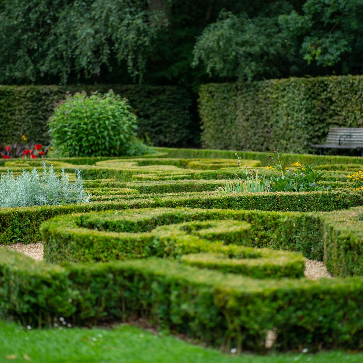 Formal garden with clipped box hedging